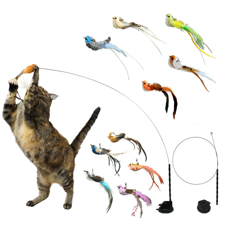 Interactive Bird Simulation Cat Toy Set