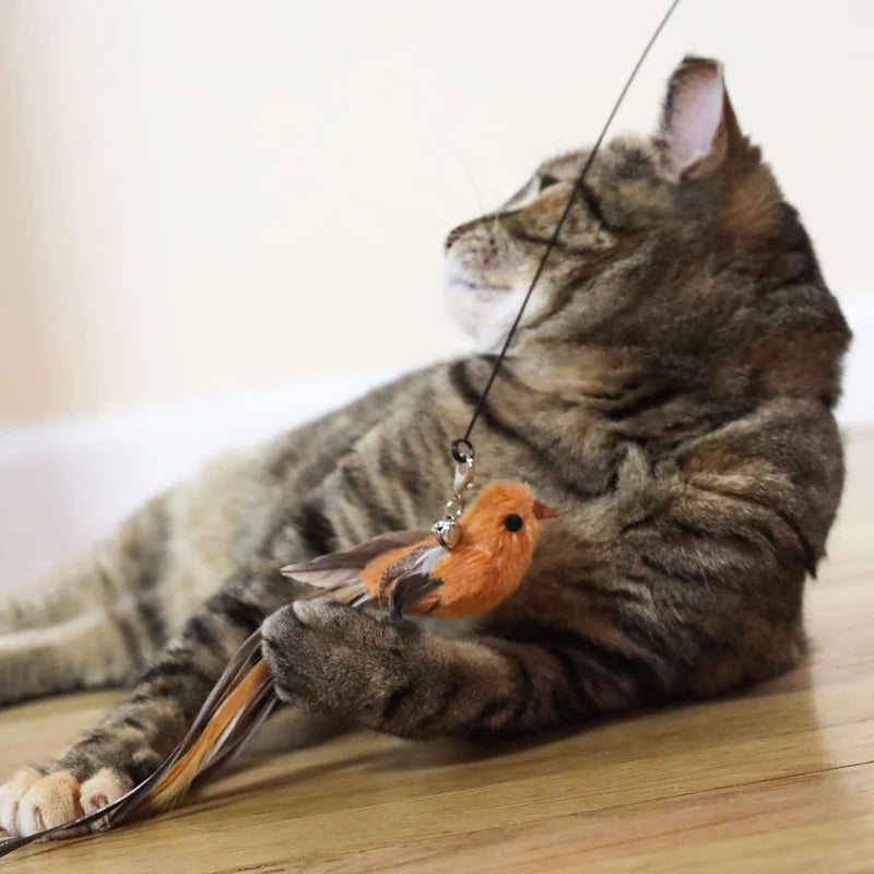 Interactive Bird Simulation Cat Toy Set