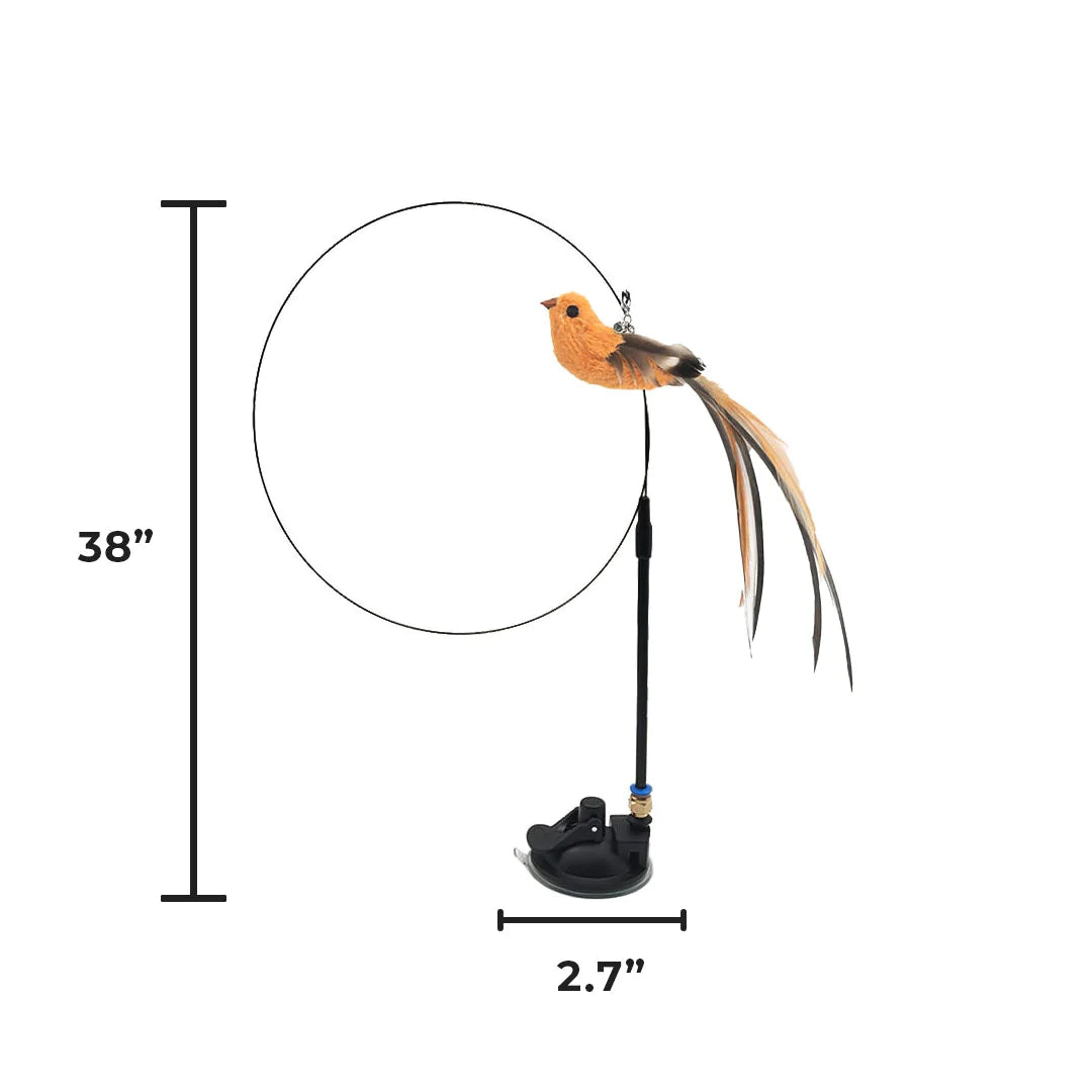 Interactive Bird Simulation Cat Toy Set