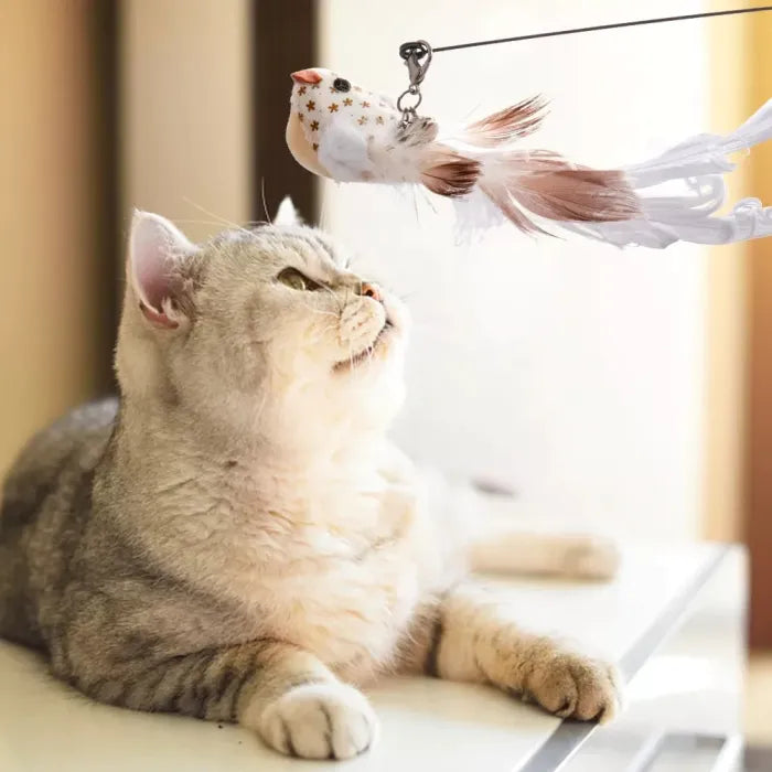 Interactive Bird Simulation Cat Toy Set