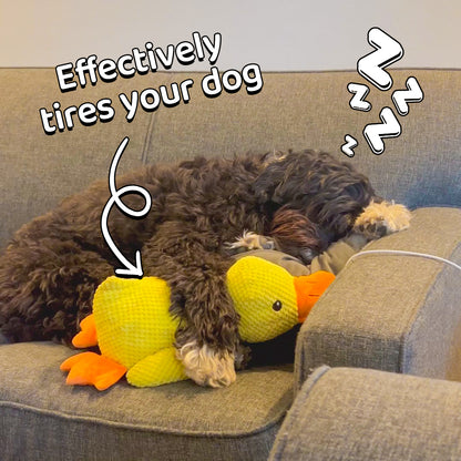 ✨2025 New Release - 50% Off - Quack Pet Duck for Cats🐱 & Dogs🐶