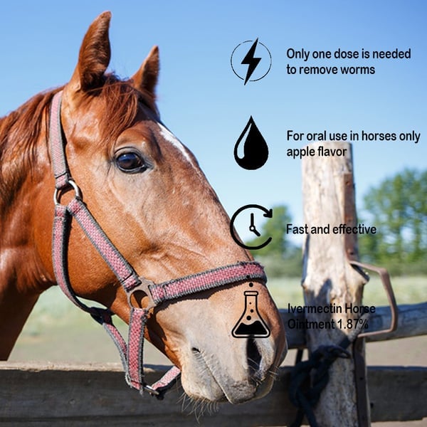 🔥Hot Sale 49% OFF - Ivermectin Horse Paste 1.87% 6.08g Tubes
