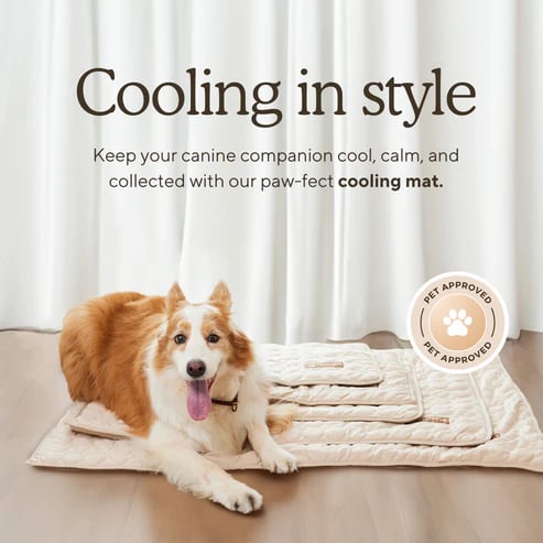 Cooling Mat (4x more effective)