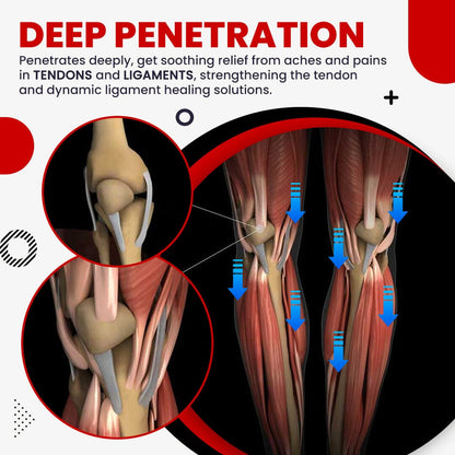 Tendium™  Tendon & Ligament Health Liquid